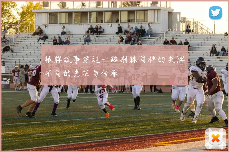 银牌故事穿过一路荆棘同样的奖牌不同的光芒与传承